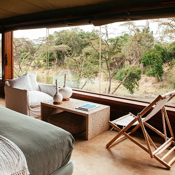 safari bedroom view